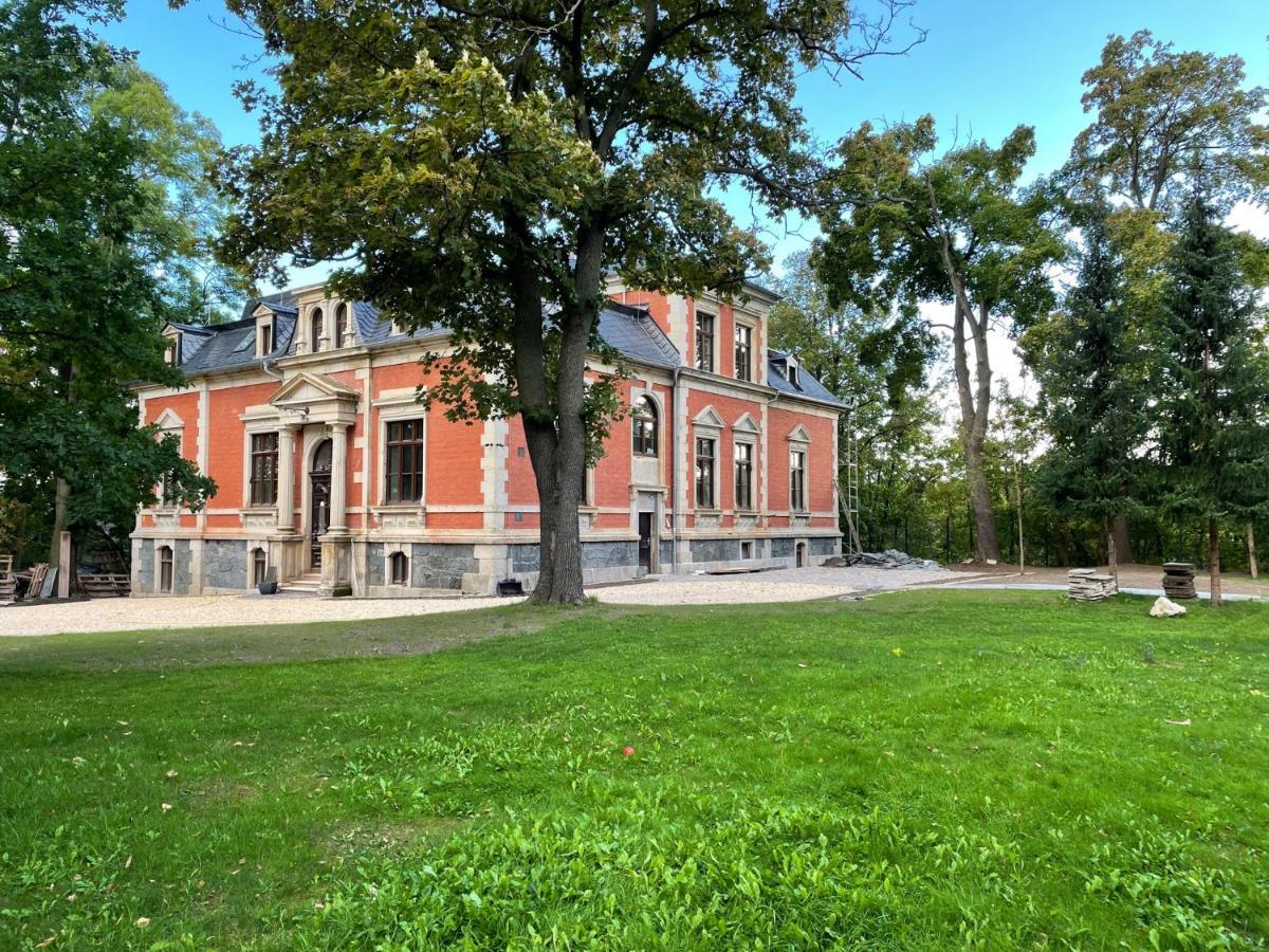 Aussergewoehnliche Ferienwohnung Stadtvilla Plauen Eksteriør bilde