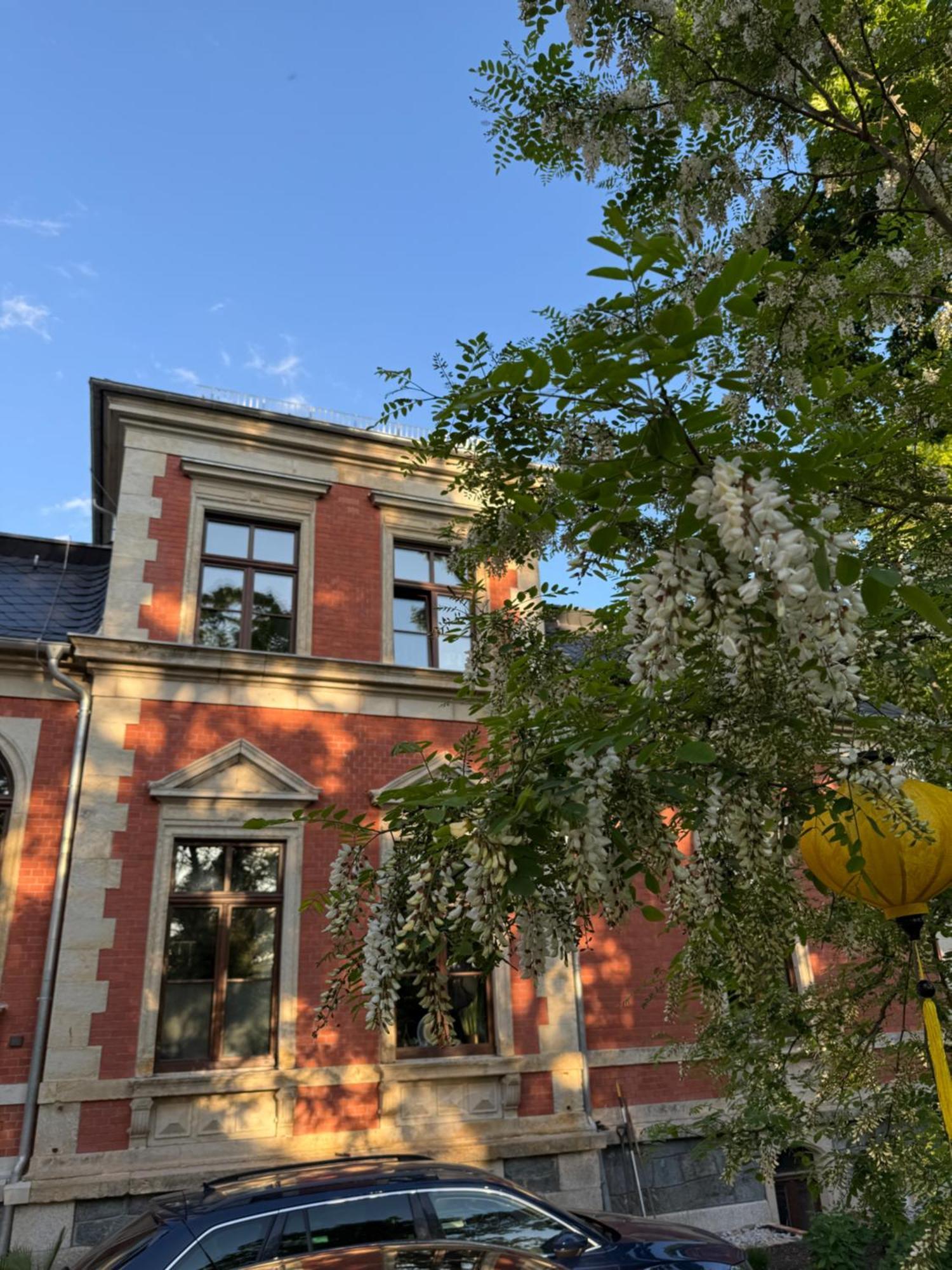 Aussergewoehnliche Ferienwohnung Stadtvilla Plauen Eksteriør bilde